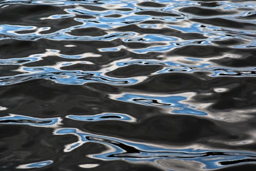 Water Detail, Upland Pond, Sussex County, NJ 09 07 (6921SA).jpg